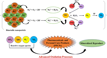 Graphical abstract: Bimetallic nanoparticles as pioneering eco-friendly catalysts for remediation of pharmaceuticals and personal care products (PPCPs)