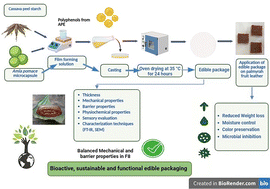 Graphical abstract: Bio-based edible packages from cassava (Manihot esculenta) peel starch incorporating amla (Phyllanthus emblica) pomace microparticles for palmyrah fruit leather