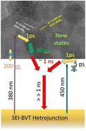 Graphical abstract: Enhanced mid-visible light absorption and long-lived charge carriers in an electronically and structurally integrated BiVO4–TiO2 photoanode for efficient artificial photosynthesis applications