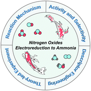 Graphical abstract: Mechanistic insights and rational catalyst design in NOx electroreduction