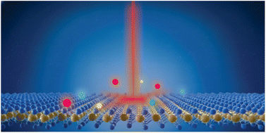 Graphical abstract: Unveiling quantum phases in two-dimensional materials with optical quasiparticle probes