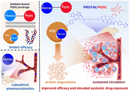 Graphical abstract: A platinated prodrug leveraging PROTAC technology for targeted protein degradation and enhanced antitumor efficacy