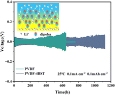 Graphical abstract: Ba0.6Sr0.4TiO3 ferroelectric filler-reinforced poly(vinylidene fluoride) polymer electrolytes for dendrite-free solid-state Li metal batteries