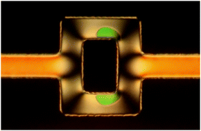 Graphical abstract: Microchannel geometry effects on nematic dowser domain dynamics