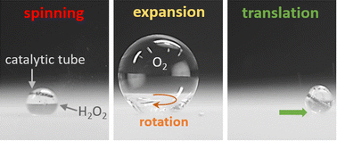 Graphical abstract: Co-motion of catalytic tubes and host droplets on superhydrophobic surfaces
