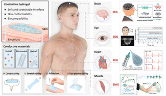Graphical abstract: Conductive hydrogel-based epidermal electrodes for electrophysiological monitoring