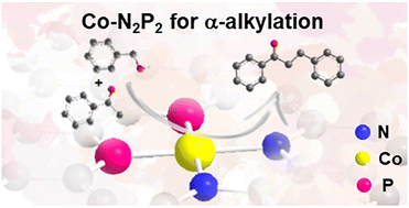 Graphical abstract: Co–N2P2 single-atom catalysts enable efficient α-alkylation of aromatic ketones