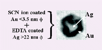 Graphical abstract: Size quantized formation and self-assembly of gold encased silver nanoparticles