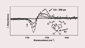 Graphical abstract: Picosecond time-resolved infrared spectroscopic investigation of excited state dynamics in a Ptii diimine chromophore