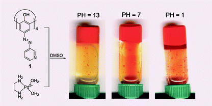 Graphical abstract: A stable metal coordination polymer gel based on a calix[4]arene and its “uptake” of non-ionic organic molecules from the aqueous phase