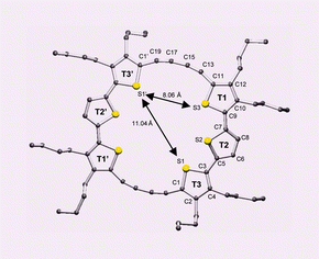 Graphical abstract: C–C bond formation through oxidatively induced elimination of platinum complexes—A novel approach towards conjugated macrocycles