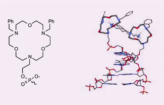 Graphical abstract: A substituted triaza crown ether as a binding site in DNA conjugates