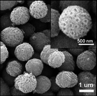 Graphical abstract: Synthesis of hierarchical nanoporous F-doped TiO2 spheres with visible light photocatalytic activity