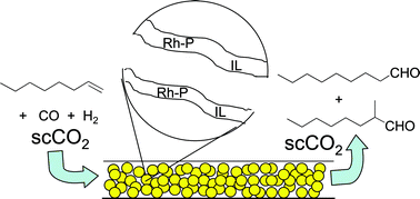 Graphical abstract: Supported ionic liquid phase catalysis with supercritical flow