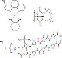 Graphical abstract: Novel platinum(ii)-based anticancer complexes and molecular hosts as their drug delivery vehicles