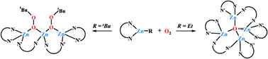 Graphical abstract: Oxygenation of alkylzinc complexes with pyrrolylketiminate ligand: access to alkylperoxide versusoxo-encapsulated complexes