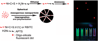 Graphical abstract: Building of multifluorescent mesoporous silica nanoparticles
