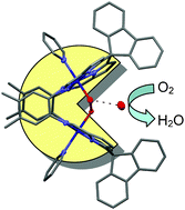 Graphical abstract: Tailoring dicobalt Pacman complexes of Schiff-base calixpyrroles towards dioxygen reduction catalysis