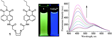 Graphical abstract: A selective and ratiometric Cu2+ fluorescent probe based on naphthalimide excimer–monomer switching