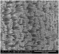 Graphical abstract: Single-step large-scale and template-free electrochemical growth of Ni–Zn alloy filament arrays from a zinc chloride based ionic liquid