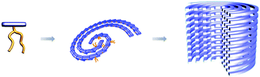 Graphical abstract: Self-organized spiral columns in laterally grafted rods