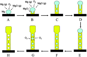 Graphical abstract: Peashell-like nanostructure—a new kind of one-dimensional nanostructure: the case of magnesium oxide