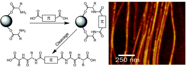 Graphical abstract: On-resin dimerization incorporates a diverse array of π-conjugated functionality within aqueous self-assembling peptide backbones