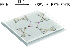 Graphical abstract: Stoichiometric and catalytic Sn-mediated dehydrocoupling of primary phosphines