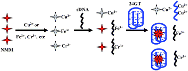 Graphical abstract: G-quadruplex facilitated turn-off fluorescent chemosensor for selective detection of cupric ion