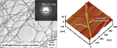 Graphical abstract: Topochemical synthesis and catalysis of metal nanoparticles exposed on crystalline cellulose nanofibers
