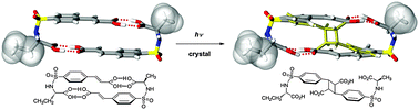Graphical abstract: A photoreactive crystalline quasiracemate