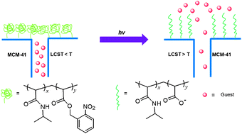 Graphical abstract: Light-responsive nanogated ensemble based on polymer grafted mesoporous silica hybrid nanoparticles