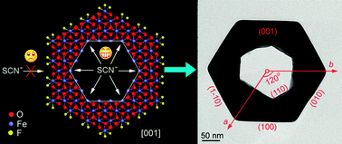 Graphical abstract: Single-crystal α-Fe2O3 hexagonal nanorings: stepwise influence of different anionic ligands (F− and SCN− anions)