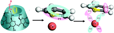 Graphical abstract: Isolated Cu(i) sites supported on β-cyclodextrin: an efficient π-complexation adsorbent for thiophene capture