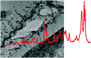 Graphical abstract: Surface-enhanced Raman scattering with silver nanostructures generated in situ in a sporopollenin biopolymer matrix
