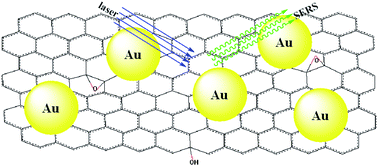 Graphical abstract: Excitation profile of surface-enhanced Raman scattering in graphene–metal nanoparticle based derivatives