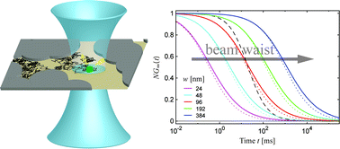 Graphical abstract: Anomalous transport resolved in space and time by fluorescence correlation spectroscopy