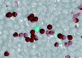 Graphical abstract: Spatial and temporal dynamical heterogeneities approaching the binary colloidal glass transition