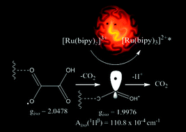 Graphical abstract: Confirmation of the classic tris(2,2′-bipyridyl)ruthenium(ii) and oxalate electrochemiluminescence mechanism using EPR spectroscopy