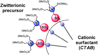 Graphical abstract: Periodic mesoporous organosilica from zwitterionic precursors