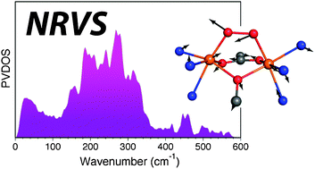 Graphical abstract: Characterization of a synthetic peroxodiiron(iii) protein model complex by nuclear resonance vibrational spectroscopy