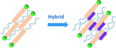 Graphical abstract: Electrically conductive hybrid nanofibers constructed with two amphiphilic salt components