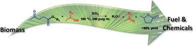 Graphical abstract: Liquid-phase catalytic transfer hydrogenation and cyclization of levulinic acid and its esters to γ-valerolactone over metal oxide catalysts