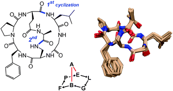 Graphical abstract: Expanding the accessible chemical space by solid phase synthesis of bicyclic homodetic peptides