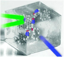 Graphical abstract: A multichromophoric dendrimer: from synthesis to energy up-conversion in a rigid matrix