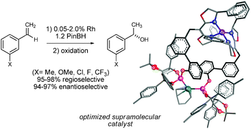 Graphical abstract: Two-stage optimization of a supramolecular catalyst for catalytic asymmetric hydroboration