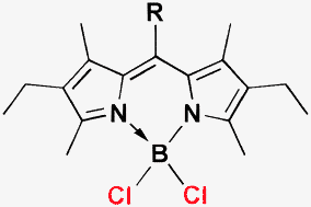 Graphical abstract: Cl-BODIPYs: a BODIPY class enabling facile B-substitution