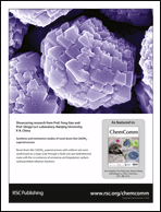 Graphical abstract: Back cover