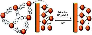 Graphical abstract: Ultrasensitive and selective detection of alkaline-earth metal ions using ion-imprinted Au NPs composites and surface plasmon resonance spectroscopy