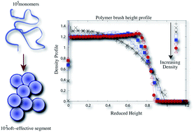 Graphical abstract: Rescaling of structural length scales for “soft effective segment” representations of polymers in good solvent